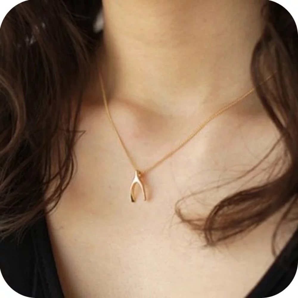 wishbone necklace